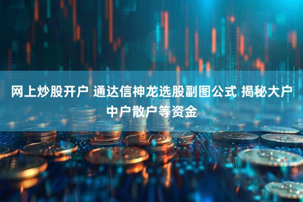 网上炒股开户 通达信神龙选股副图公式 揭秘大户中户散户等资金