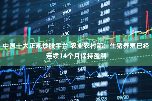 中国十大正规炒股平台 农业农村部：生猪养殖已经连续14个月保持盈利